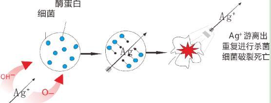 龍勝三層納米抗菌水管有效嗎？配圖解原理，99.99%抗菌率不是蓋的！