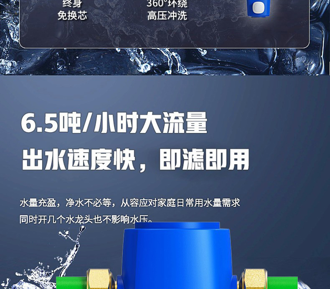 龍勝前置過濾器LS-QZ-10